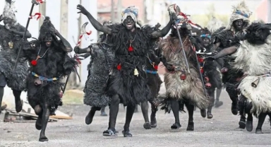 Tülütabaklar Nedir?